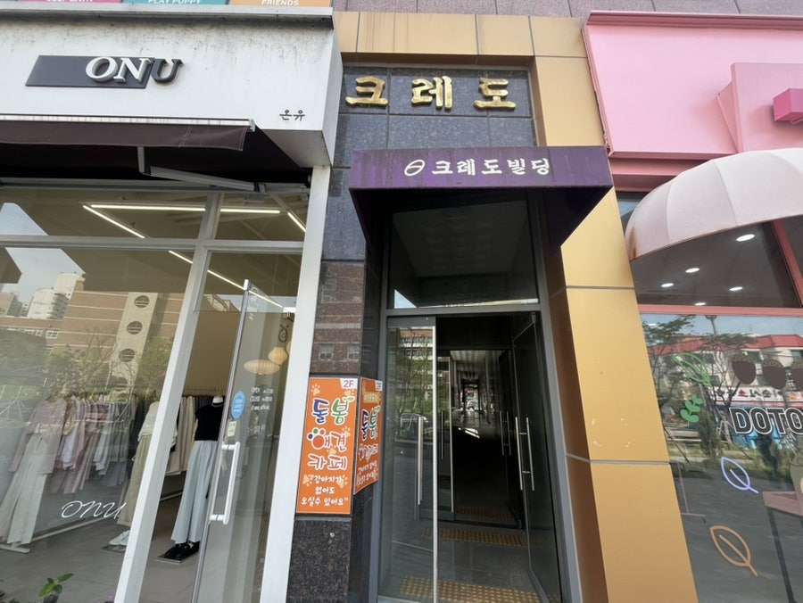 돌봄애견카페 사진 6