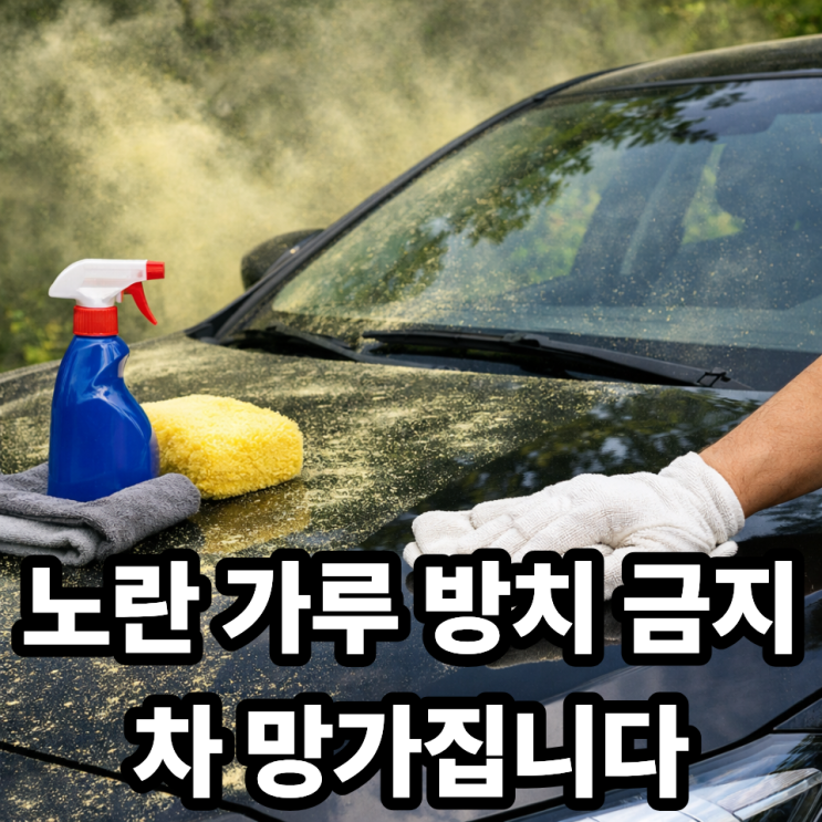  송화가루 차량 관리 방법  도장 손상 막는 세차 꿀팁 총정리