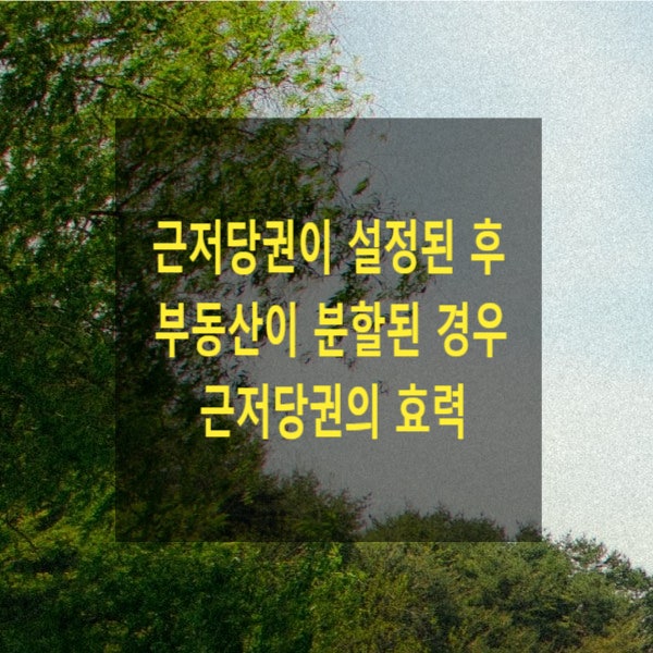  근저당권이 설정된 후 부동산이 분할된 경우 근저당권의 효력