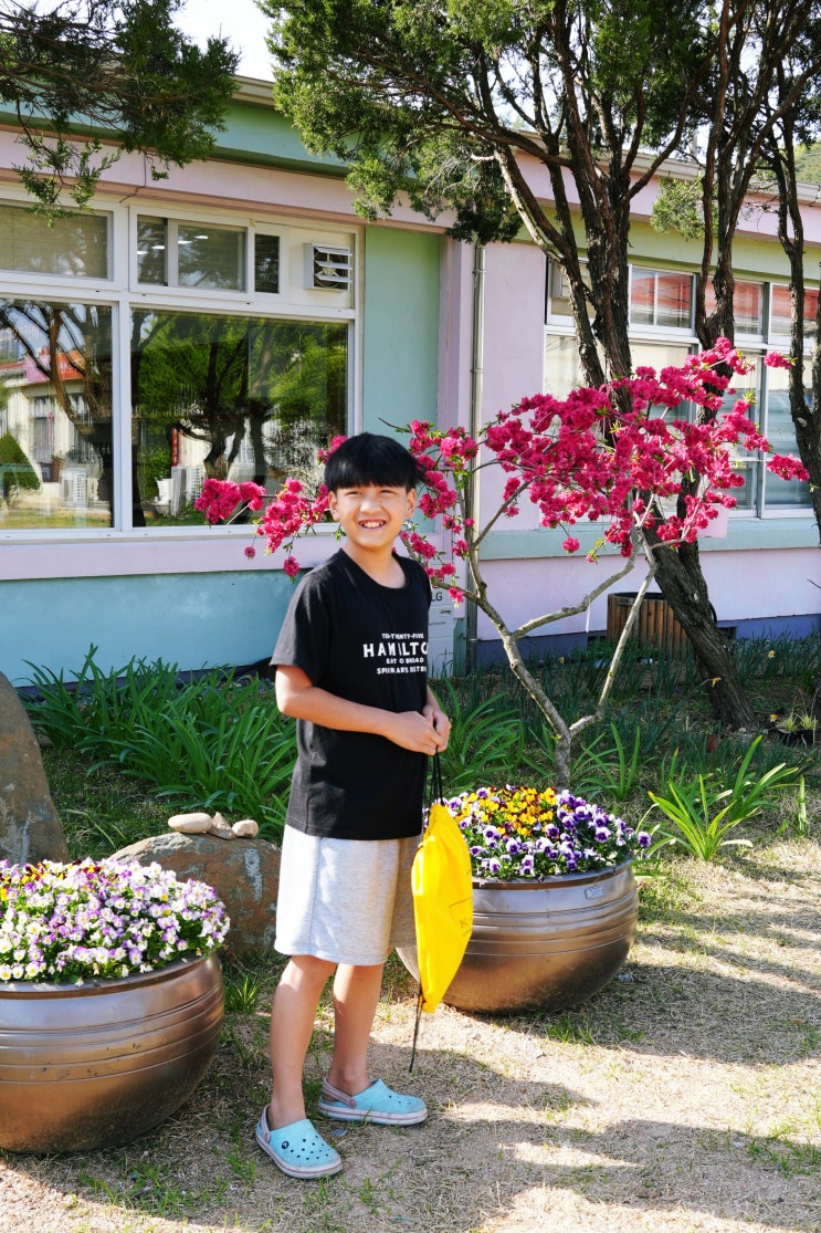  대전근교 아이와 가볼만한곳 서산 놀거리 충남치유농장 나무테크나무야