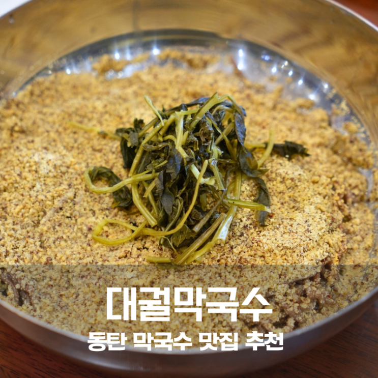 동탄 막국수 맛집 대궐막국수 들깨막국수 옹심이 메밀칼국수 까지 완벽