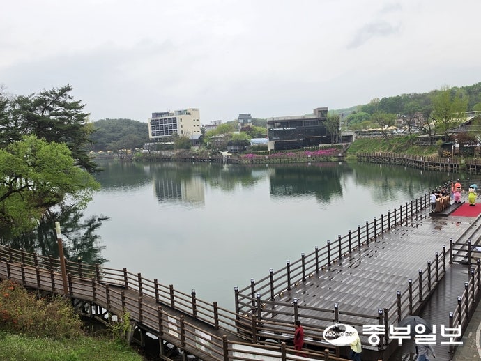 사진 3