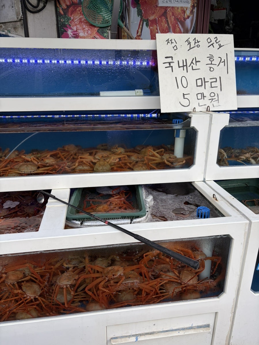 대게나라 사진 2