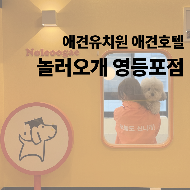 사진 3