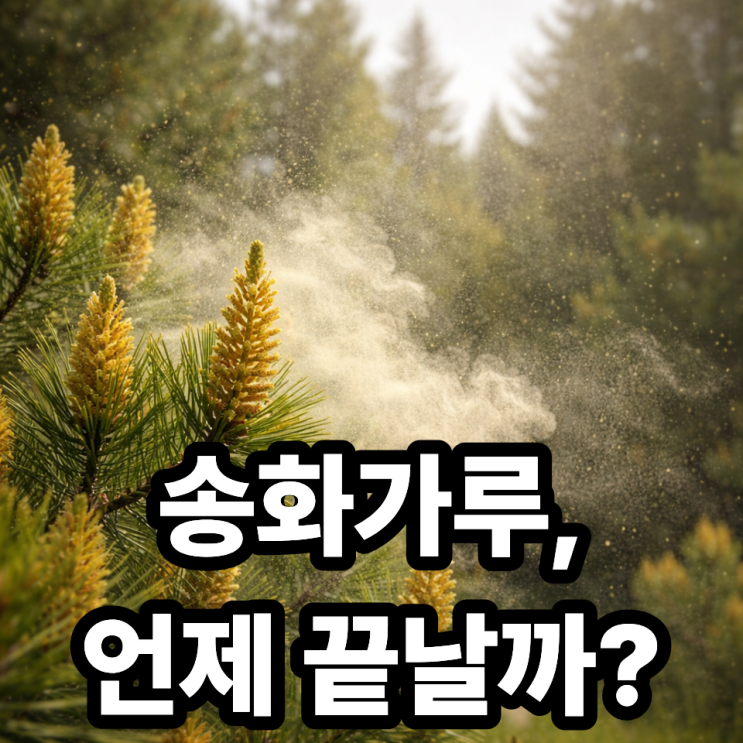  송화가루 언제까지 날릴까? 봄 시즌 종료 시기와 대처법 총정리