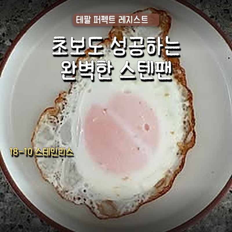 스텐팬 길들이기 실패할까 봐 걱정인가요? 테팔 인덕션 스테인리스 스틸 퍼펙트 레지스트 프....