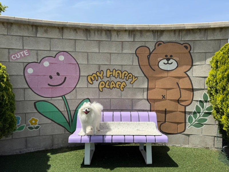 멍아일랜드/강아지유치원/호텔