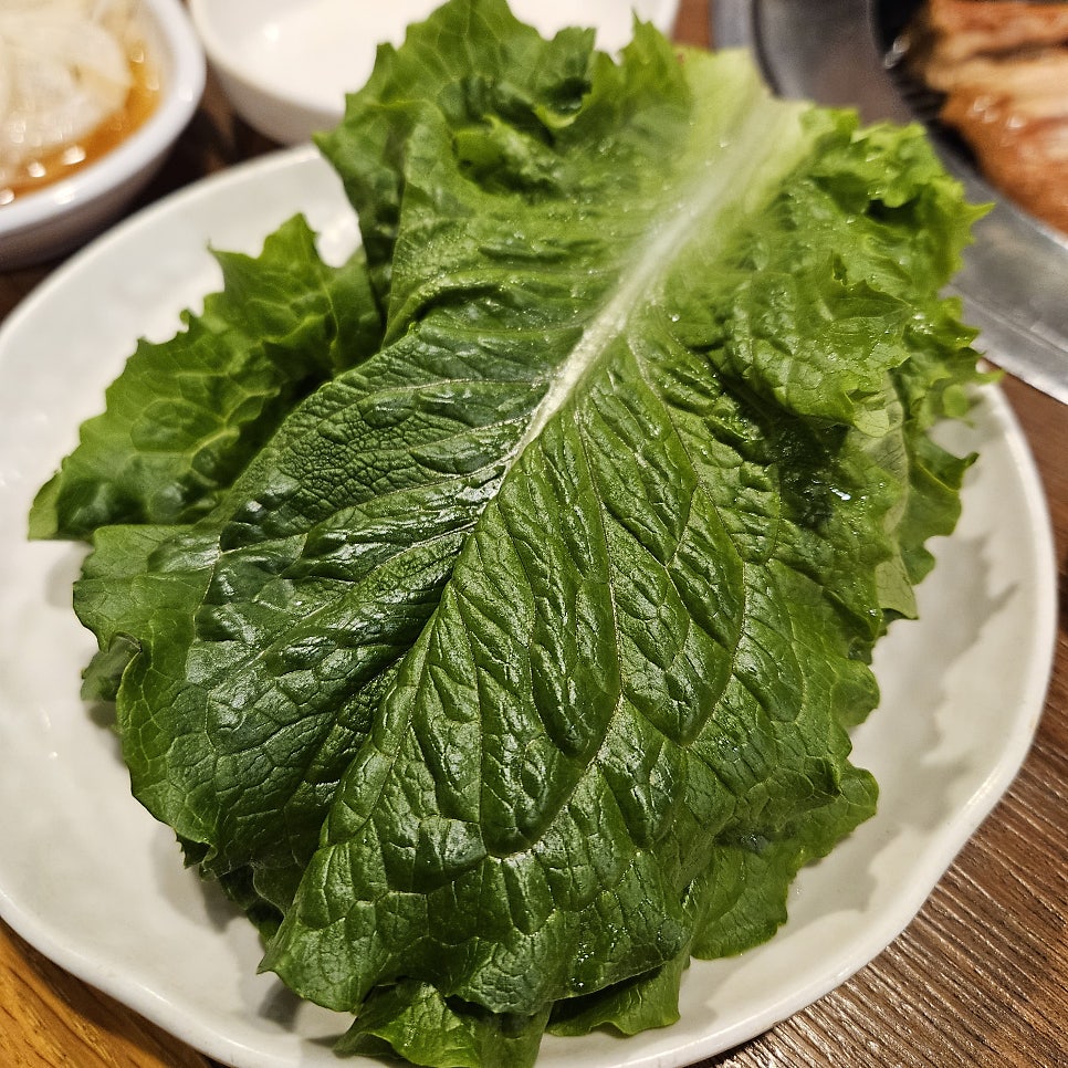 참만나 사진 5