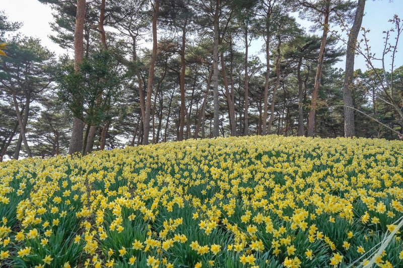 사진 3