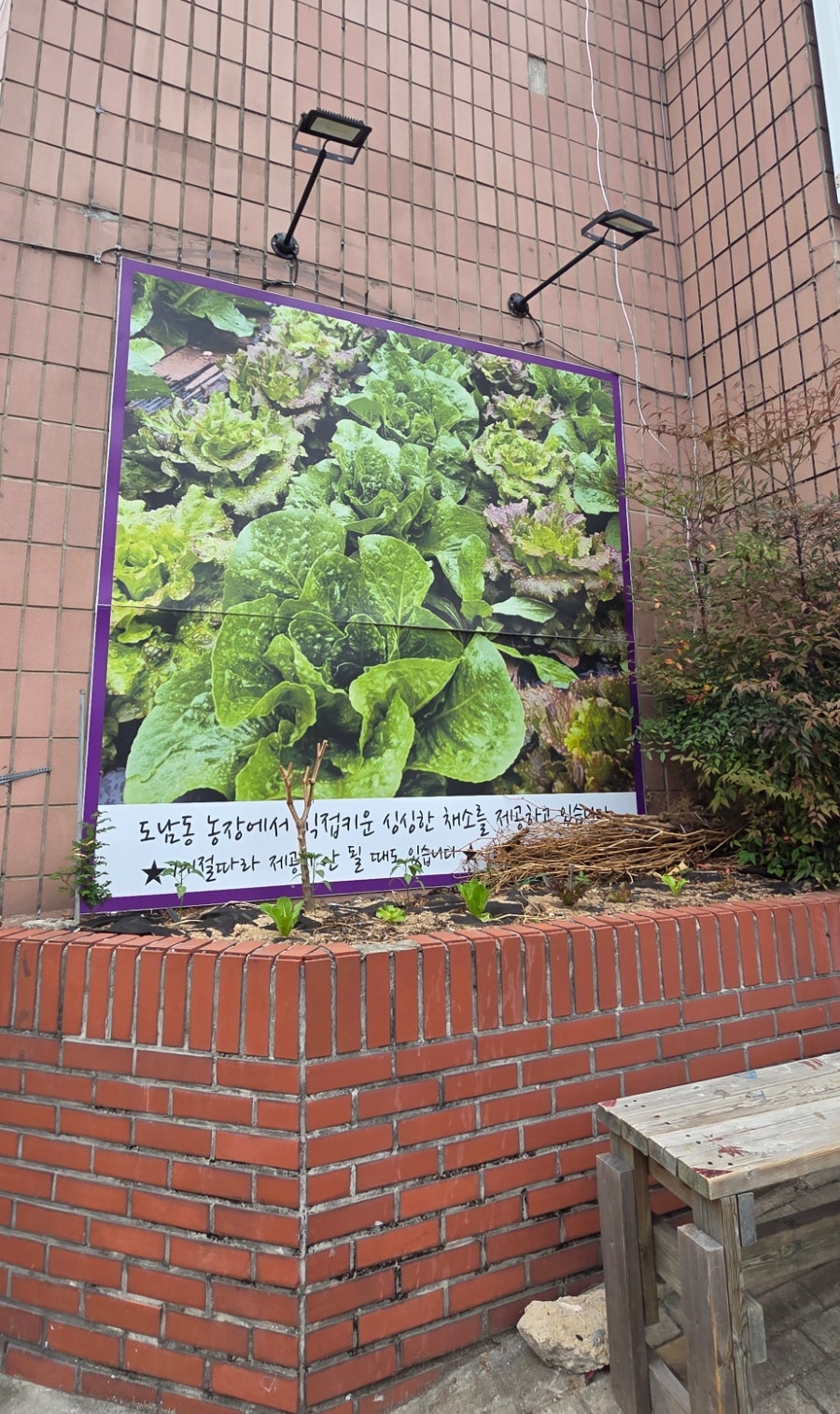 조생 사진 3