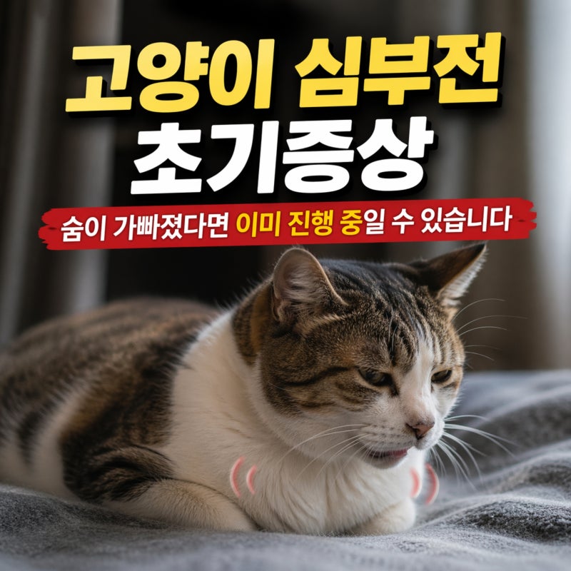 고양이 심부전 초기증상, 숨이 가빠지기 시작했다면 이미 진행된 상태일 수 있습니다