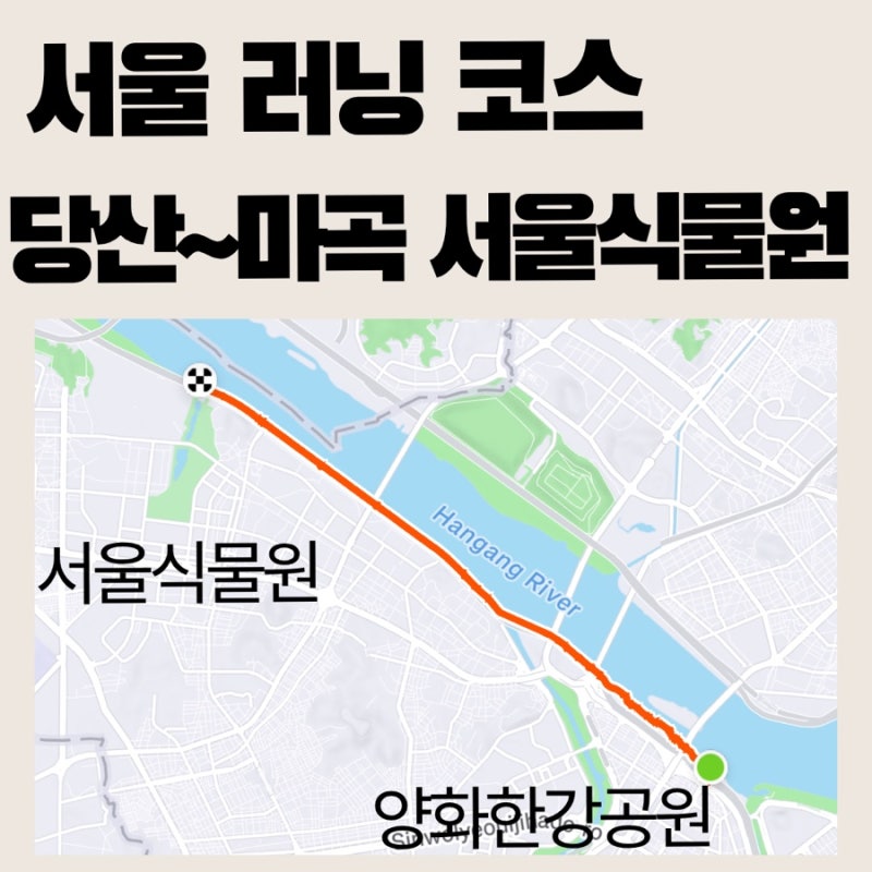 [서울 러닝 코스] 양화한강공원 8km 무장애 직선코스ㅣ당산 ~ 마곡 서울식물원