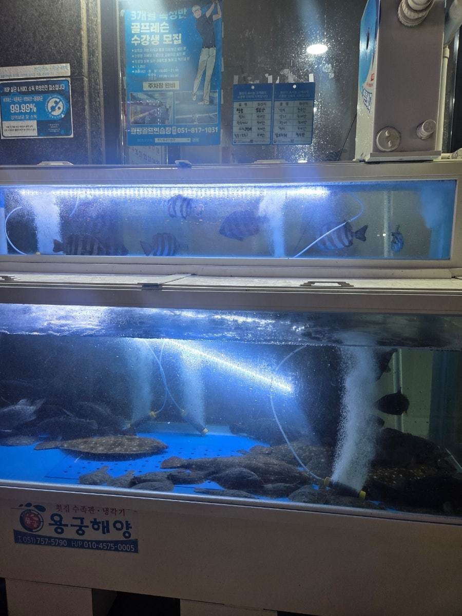 형제횟집 사진 2