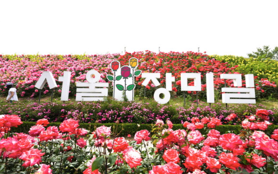 고창풍천장어 사진 5