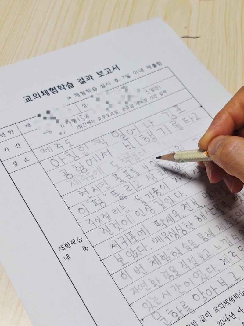 초등 교외체험학습 결과보고서 예시 총정리 제주도 후기 작성법 꿀팁