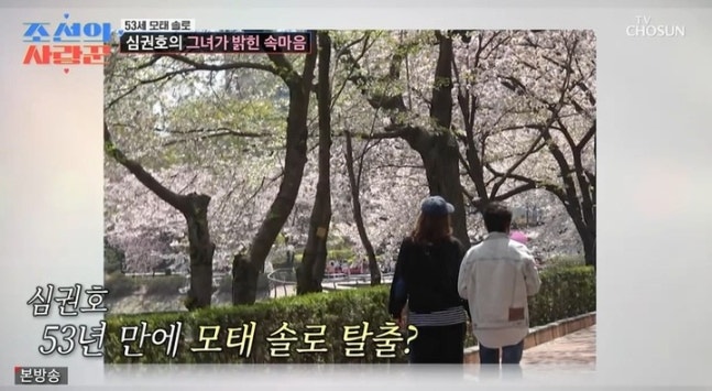 '모솔 심권호 사랑 시작!' 심권호 첫 데이트 벚꽃길 고백 화제 조선의 사랑꾼 방송 장면 공개