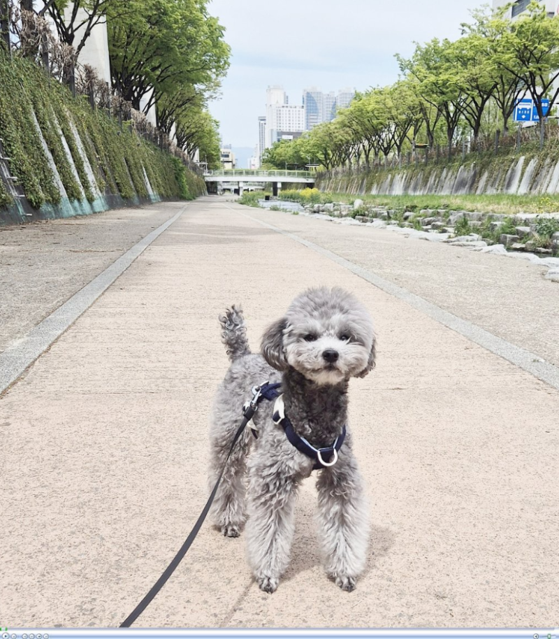 사진 2