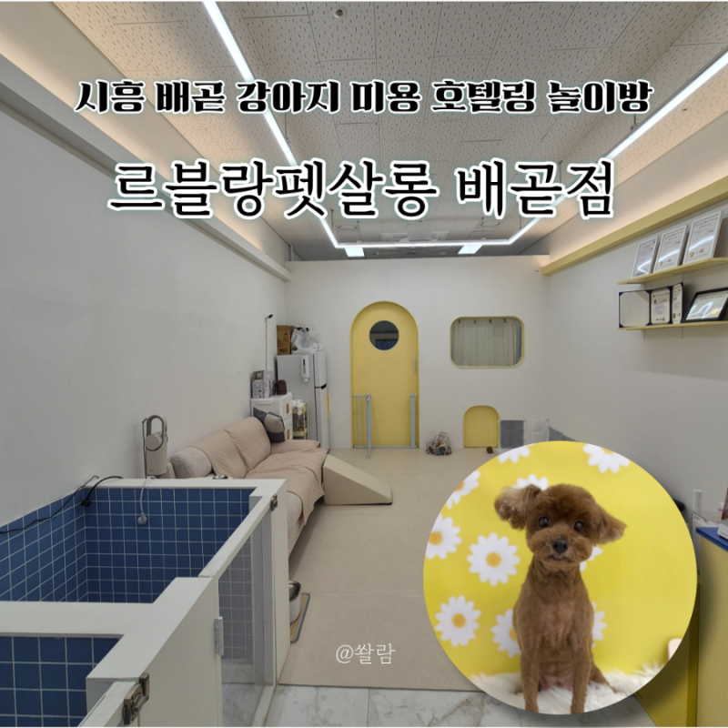 르블랑펫살롱 배곧점
