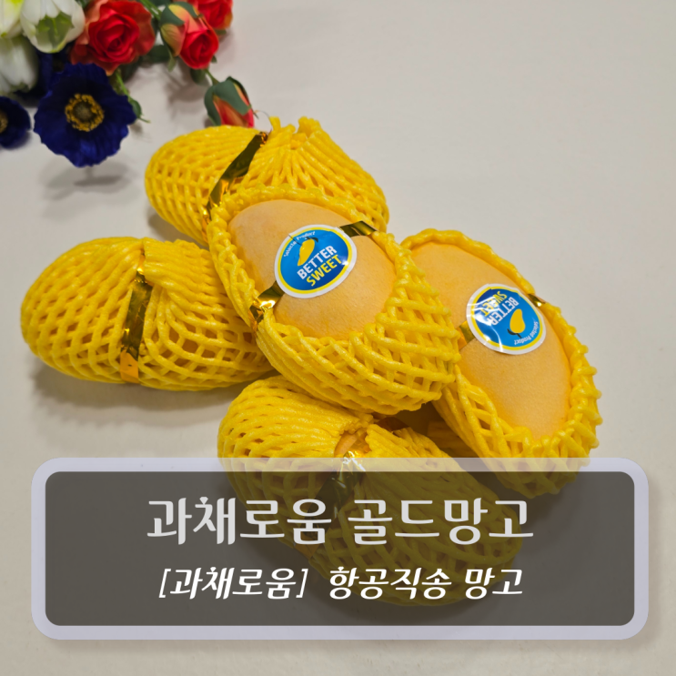  과채로움 태국망고 - 20Brix 과즙폭발 항공직송 망고 후기