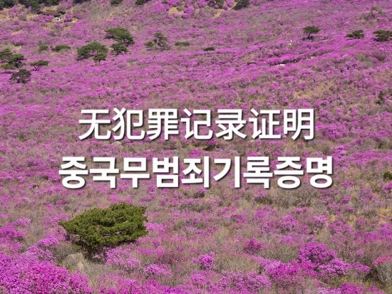  중국인 무범죄증명 발급, 한글번역공증, 아포스티유 확인