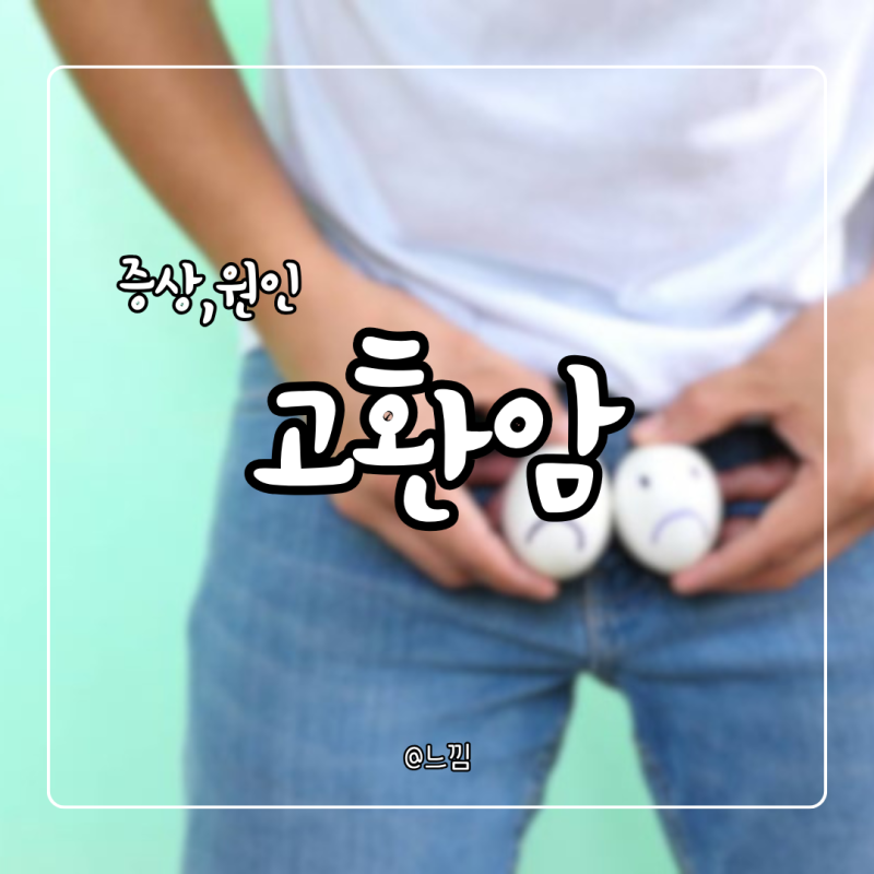고환암 증상 원인 수술 전이 예후