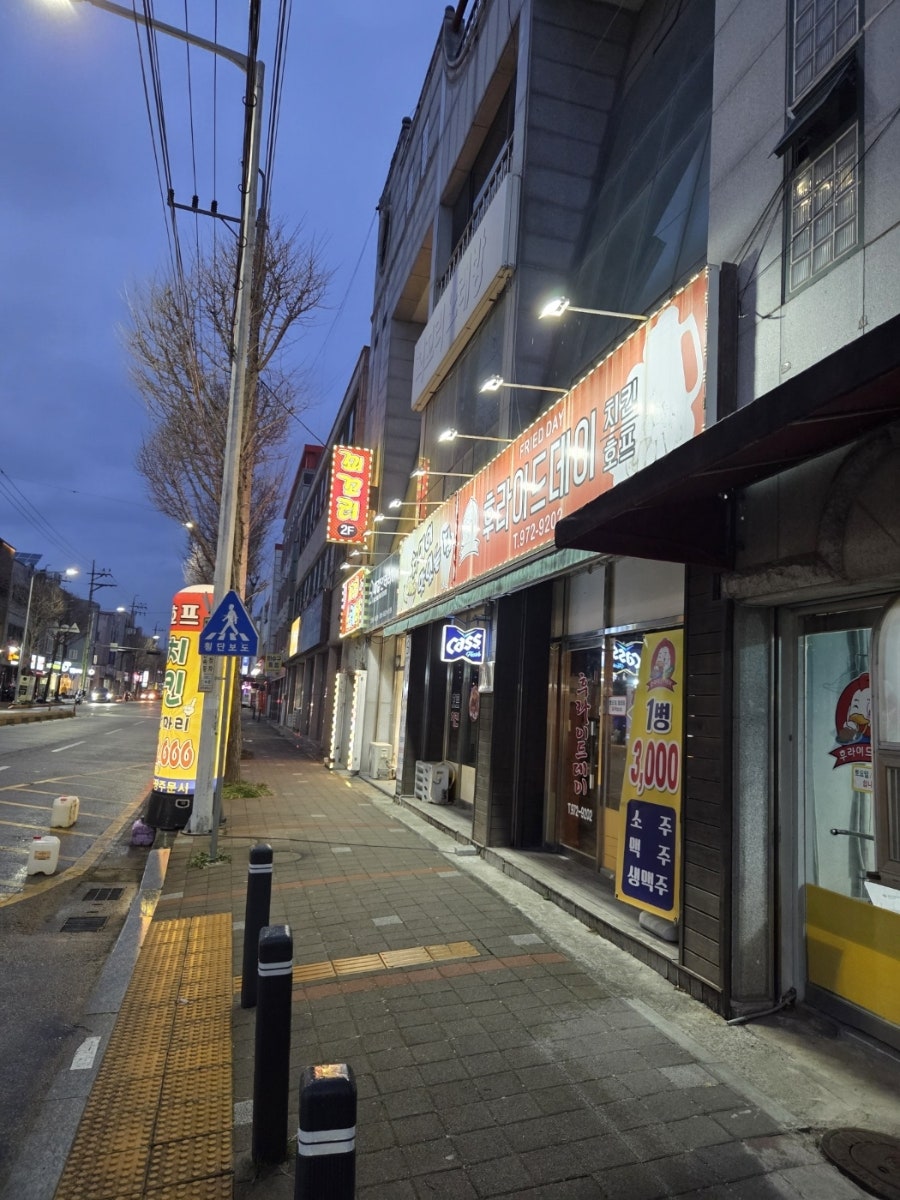 후라이드데이 사진 1
