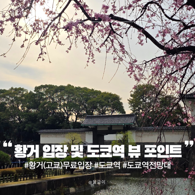  도쿄 여행 필수 코스 벚꽃 명소 황거(고쿄) 무료 입장 꿀팁 & 도쿄역 뷰 포인트 추천