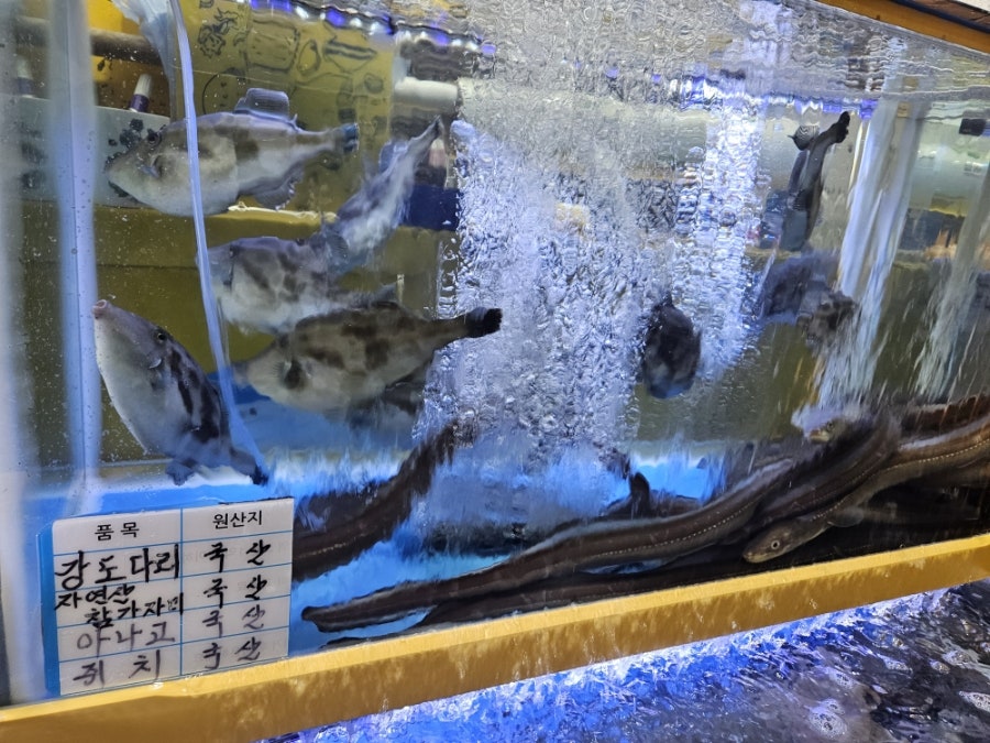 우리수산 사진 6