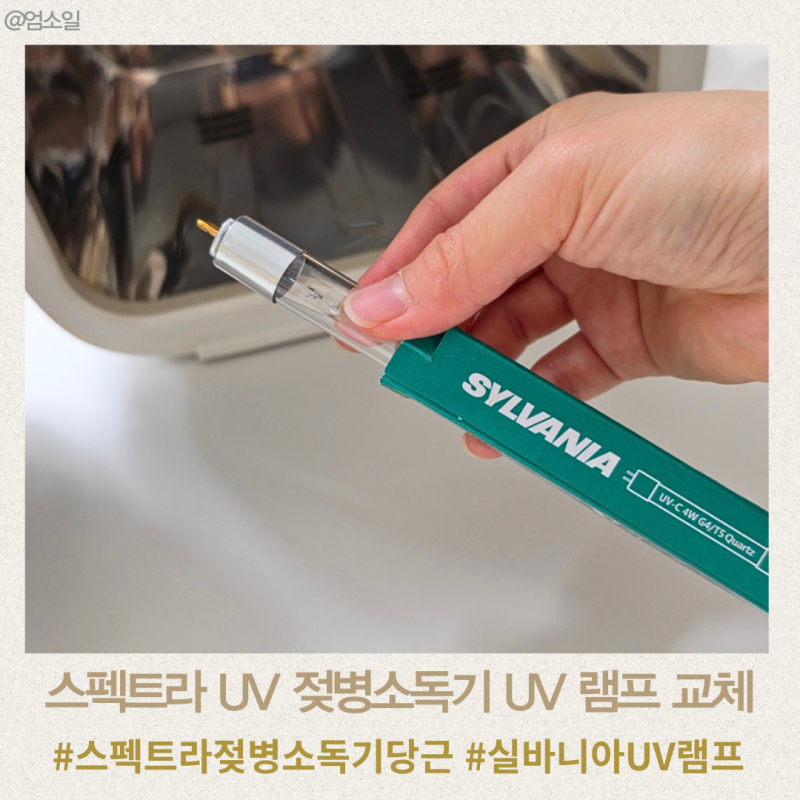 스펙트라 UV 젖병소독기 당근 구매 실바니아 UV 램프 4W 가격 교체 후기