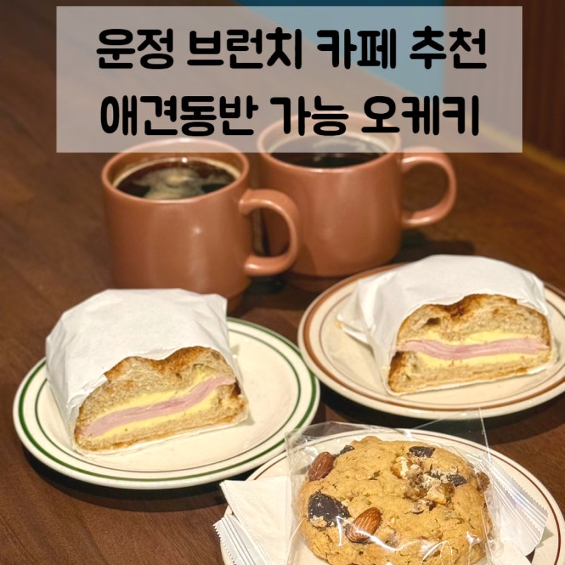 사진 7