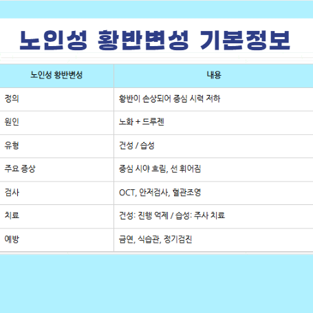 노인성 황반변성 뜻 원인 증상 종류 습성 건성 진단 검사 치료