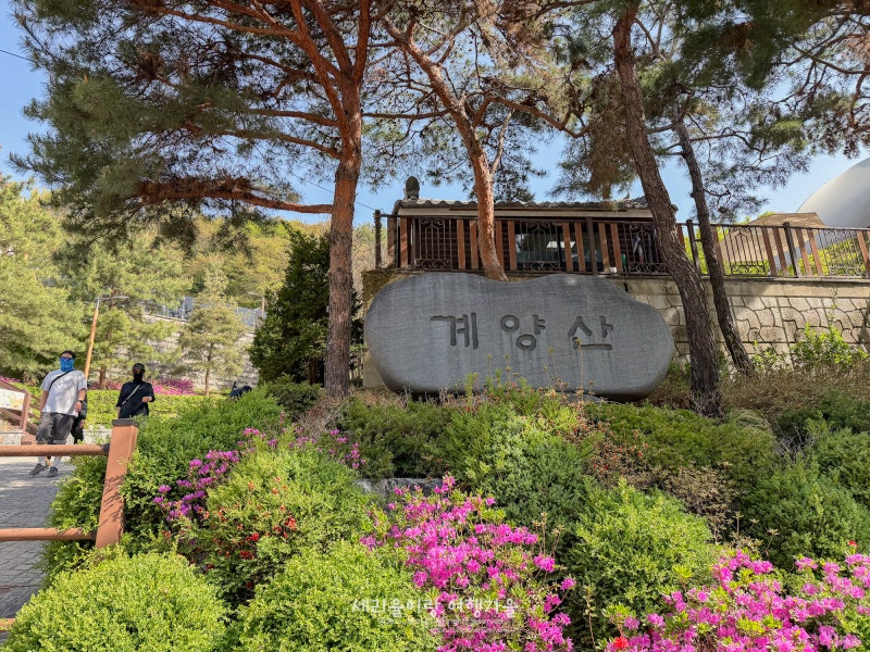 사진 8