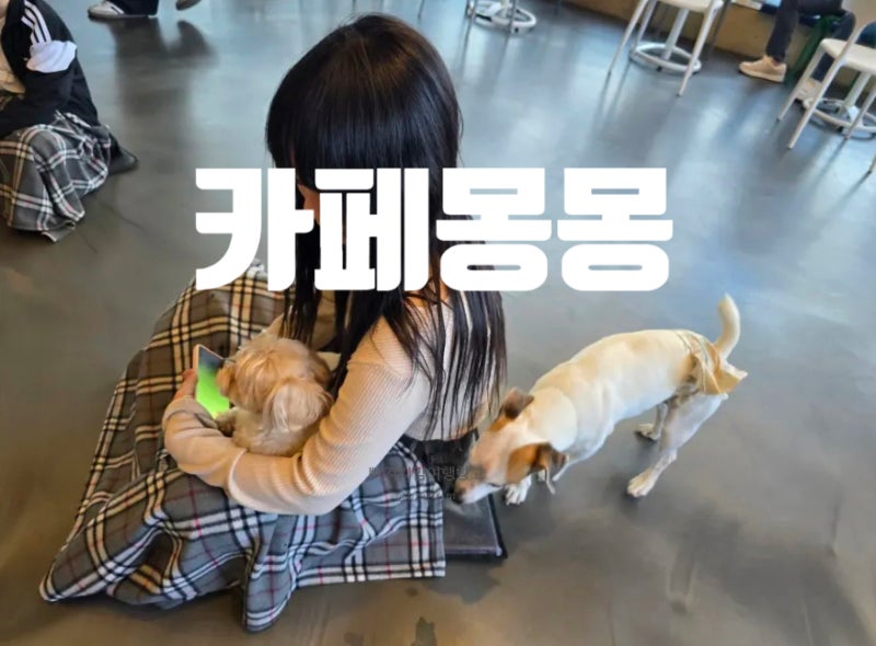 사진 5