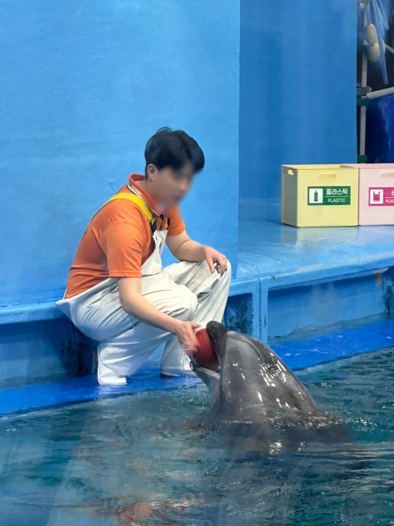 울산 장생포 돌고래 고래생태체험관 시간 입장권 가격 총정리