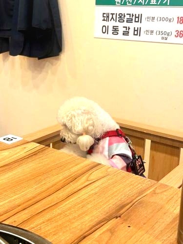 사진 5