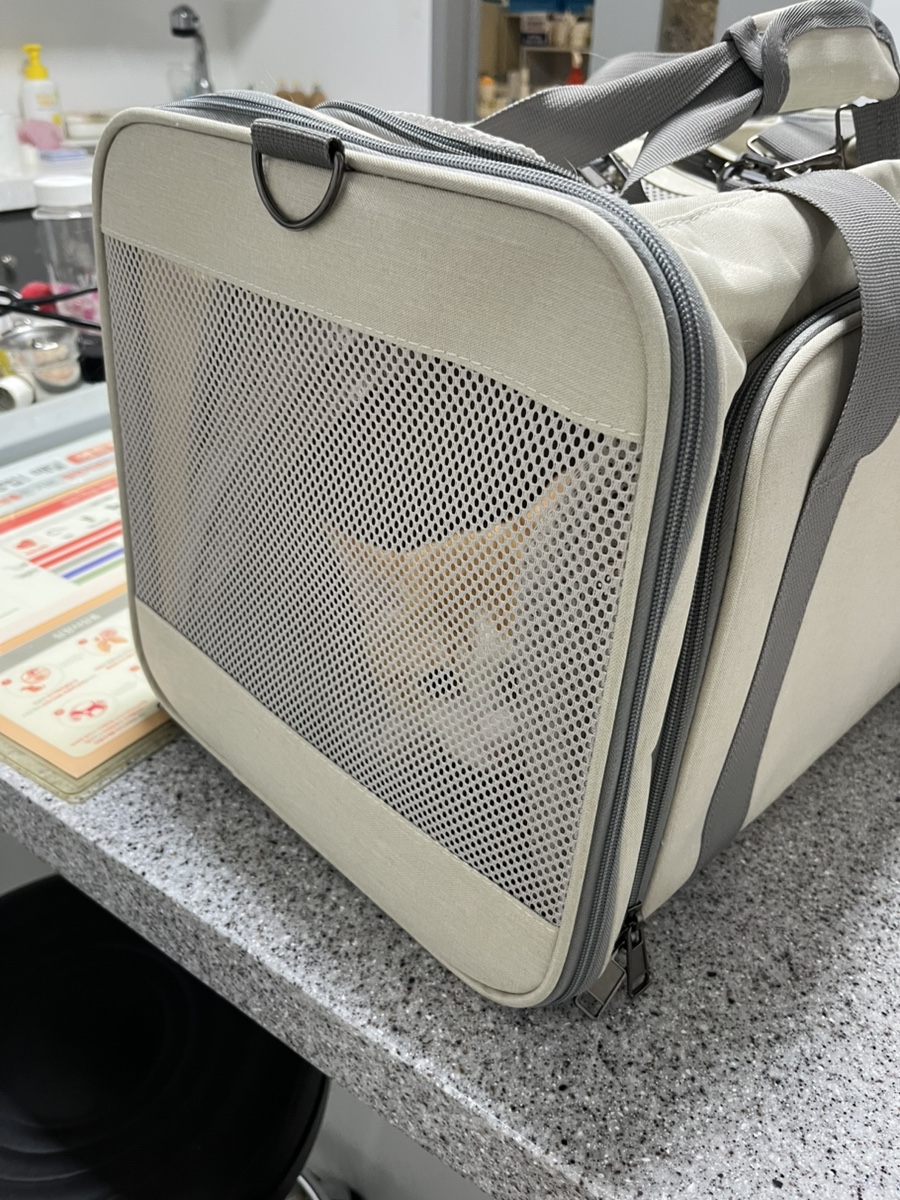 오룡동물병원 사진 5