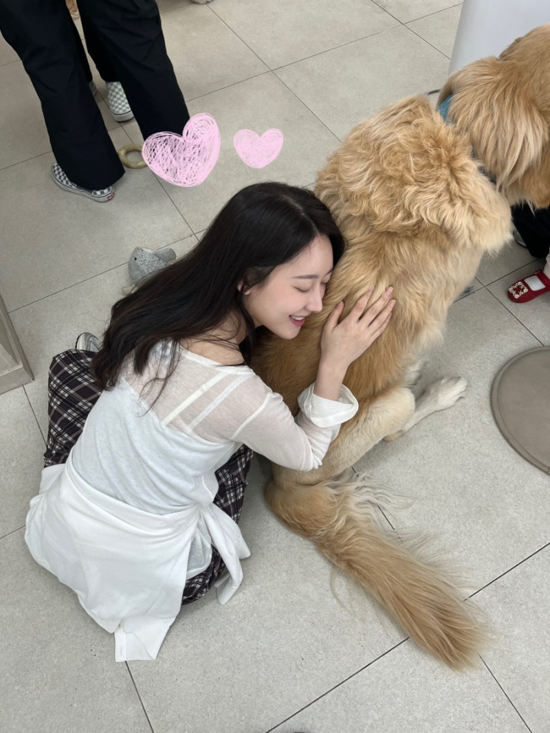 사진 5