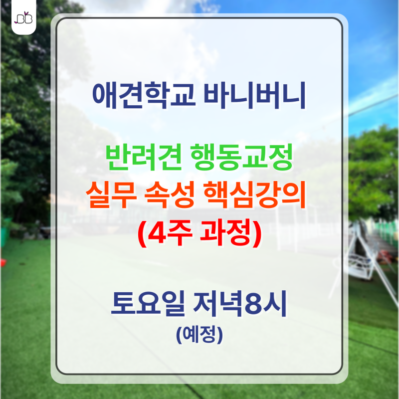 애견학교 바니버니 애견훈련소&애견호텔