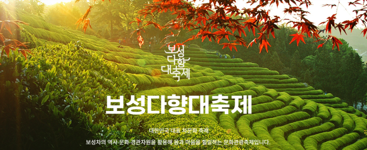  보성 다향대축제 후기 찾기 전 체크, 올해 달라진 말차 포인트는 무엇일까