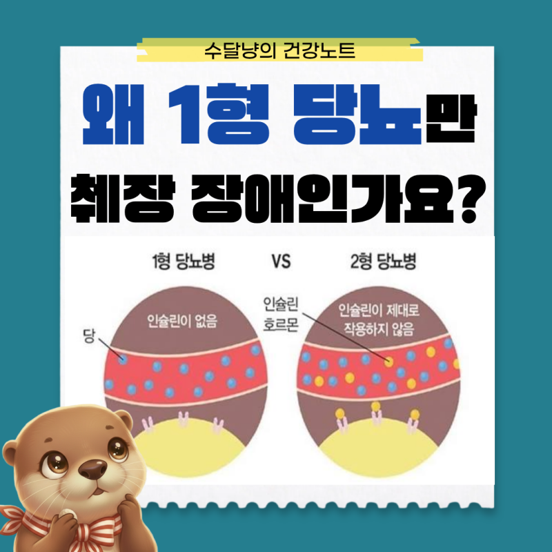 1형 당뇨 장애 등급 받을 수 있을까? 신청 전 기준 확인하세요