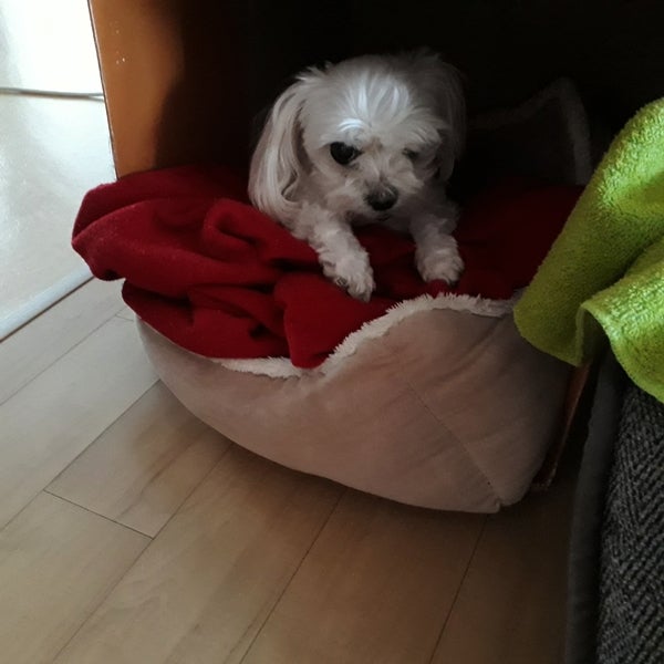 사진 2