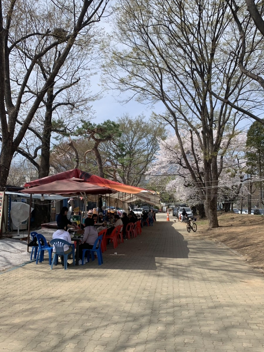 고향집 사진 2