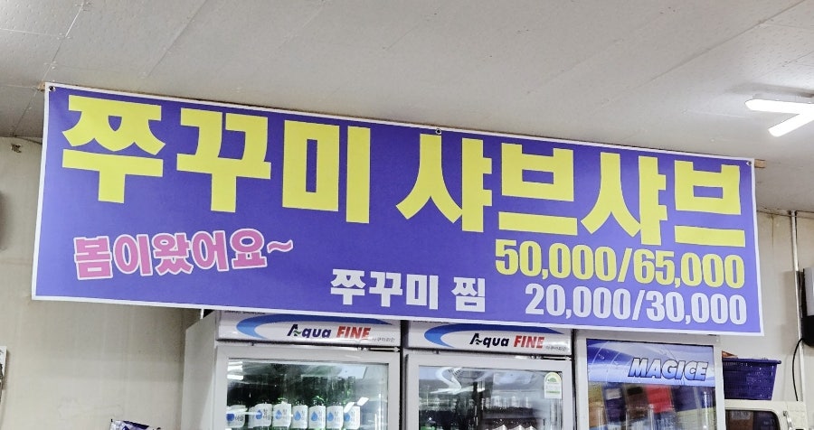 광어9900 사진 6