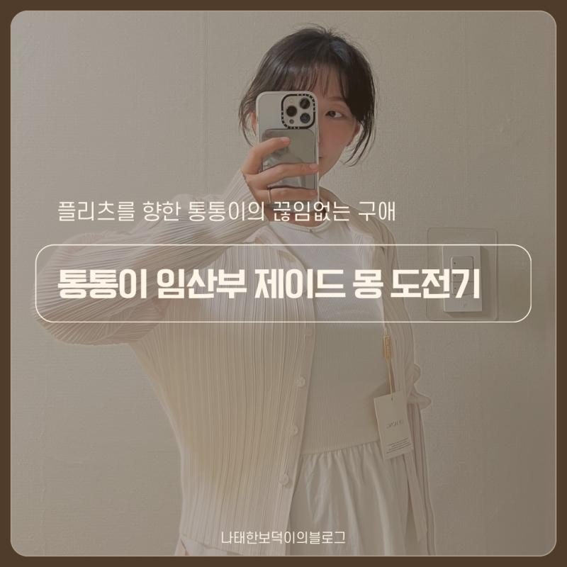 통통이의 끊임 없는 플리츠 사랑 제이드몽 임산부 착용 후기 키 160 통통 뚱뚱 25주 임산부 현....