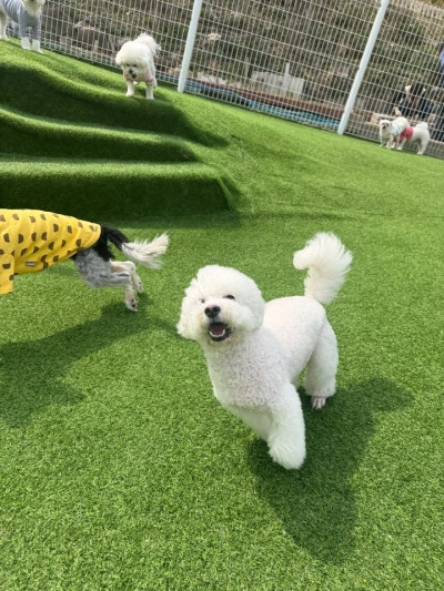 사진 4