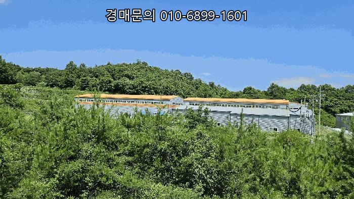  산업 성장 잠재력 가득한 경상남도 산청군 금서면 매촌리 1347번지 대규모 공장 경매, 압도적 규모와 안정적인 투자 기회를 지금 잡으세요! 2025타경756