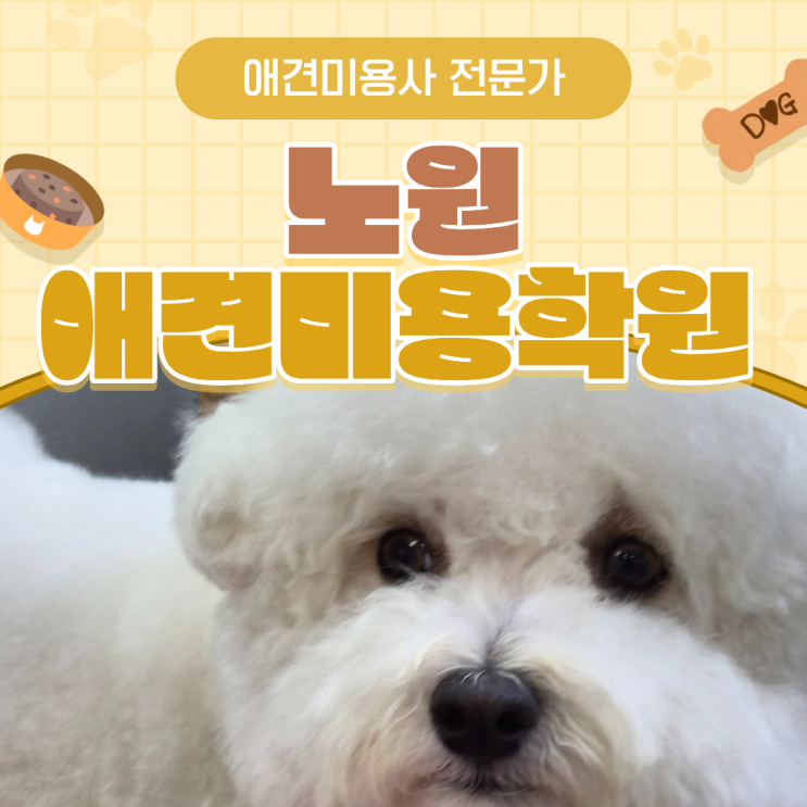  노원애견미용학원 비용, 현실적으로 얼마 들까요?