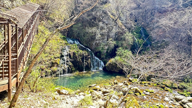 사진 7