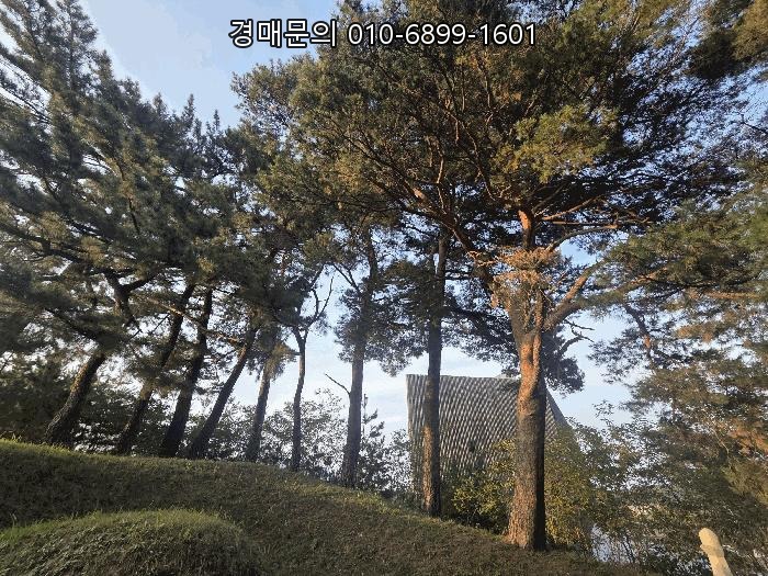  강원 강릉시 포남동 245-3번지 대규모 근린시설 및 교육연구시설 통매각, 파격적인 최저가 경매 기회! (2024타경855)