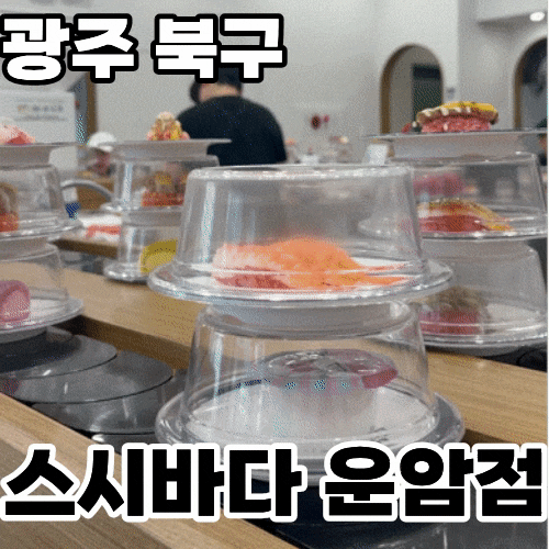  광주 북구 운암동 회전초밥 '스시바다' ㅡ 골라먹는 재미까지 담은 퀄리티 좋은 초밥집